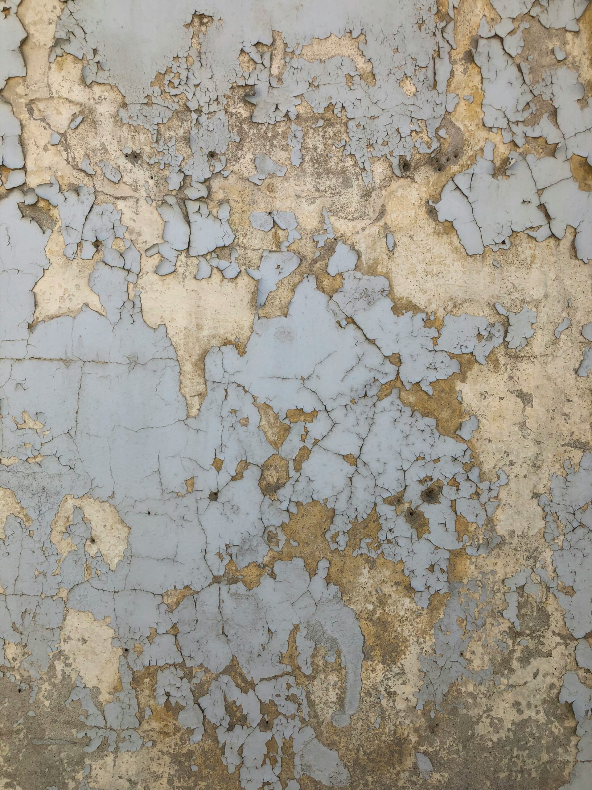The Map Is Not the Territory - The Other Journal
